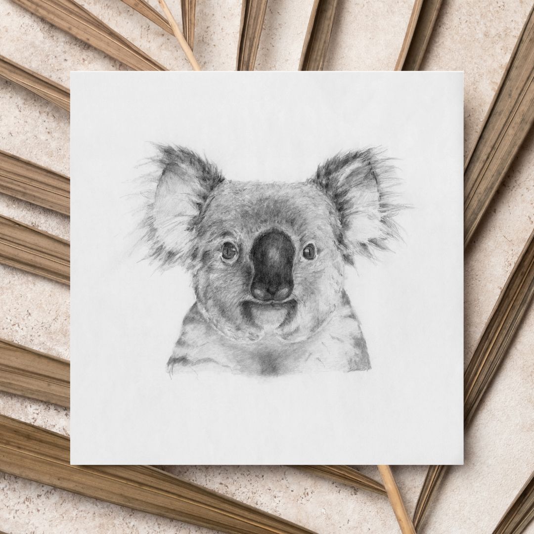 Vanishing Koala Card Set